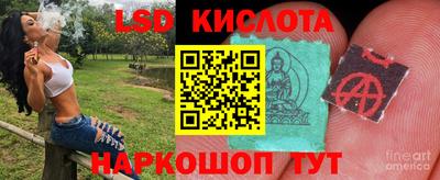 винт Татарск