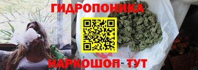 гашиш Тара