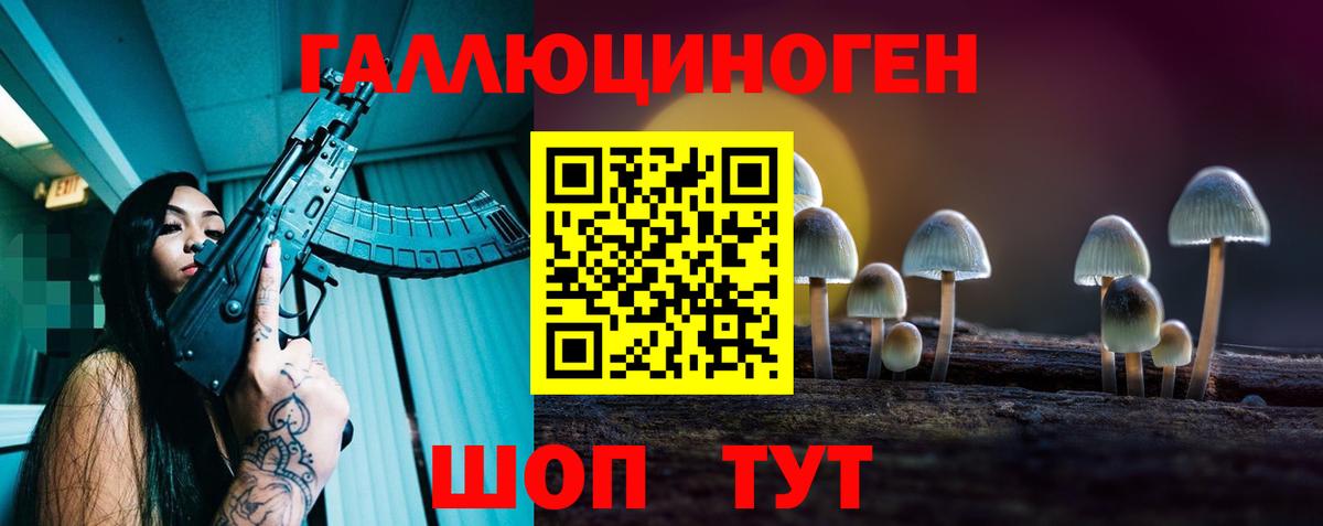 Орск  Галлюциногенные грибы Psilocybine cubensis  Вход с VPN 